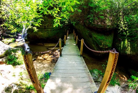 These Are The 7 Best Family Hikes To Take In Alabama