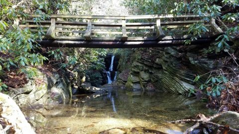 7 Totally Kid-Friendly Hikes In North Carolina That Are 1 Mile And Under