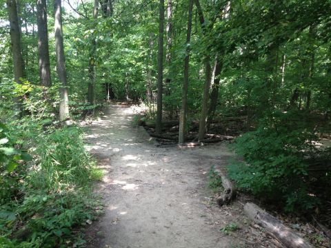 This Quaint Little Trail Is The Shortest And Sweetest Hike Near Detroit
