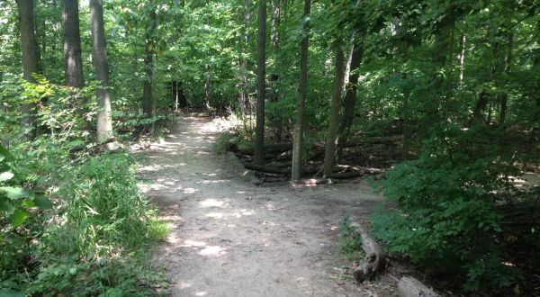 This Quaint Little Trail Is The Shortest And Sweetest Hike Near Detroit