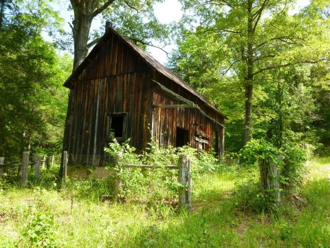 Rush Mountain Mining Loop Trail In Arkansas Leads You Straight To An Abandoned Village