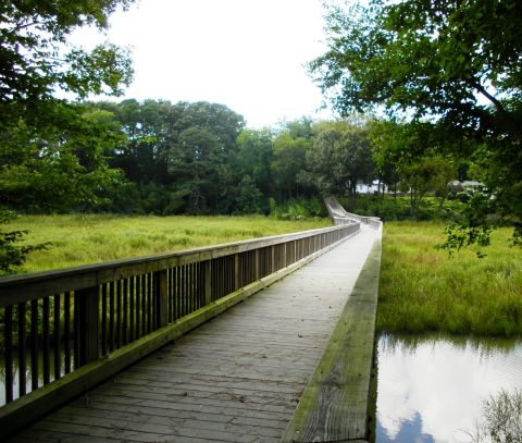 Windsor Castle Park Trail Is An Easy Boardwalk Trail In Virginia You'll Want To Take