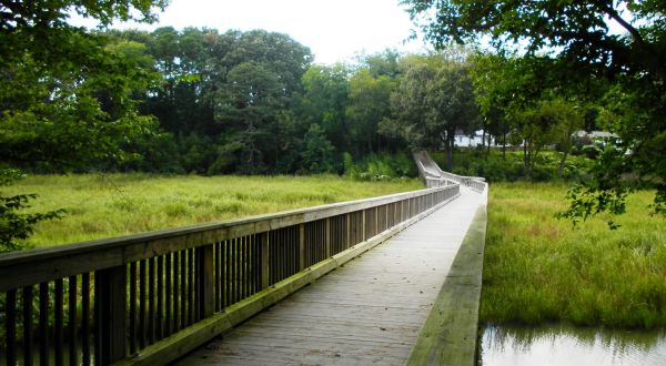 Windsor Castle Park Trail Is An Easy Boardwalk Trail In Virginia You’ll Want To Take