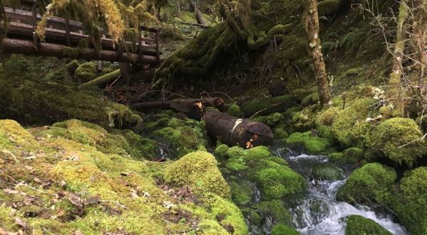 The Magical River Walk In Oregon That Will Transport You To Another World