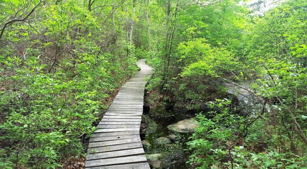 Visit Connecticut’s Largest State Forest For An Outdoor Adventure Beyond Compare