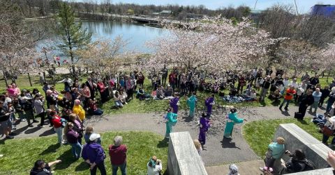 Buffalo's Cherry Blossom Festival Is The Most Beautiful Way To Celebrate Spring