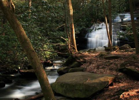 This Easy Breezy Waterfall Hike In Georgia Is A Must-See For Nature Lovers