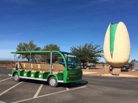 This One-Of-A-Kind Pistachio Farm In New Mexico Serves Up Fresh Homemade Ice Cream To Die For