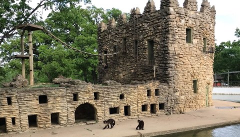The One-Of-A-Kind Zoo In Kansas With Surprises Around Every Corner