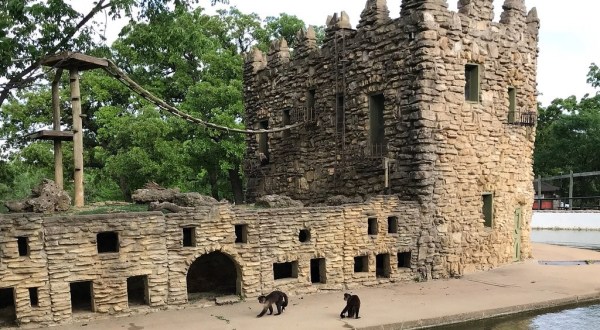The One-Of-A-Kind Zoo In Kansas With Surprises Around Every Corner