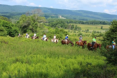 The Adventure Farm In West Virginia That's Too Good To Pass Up