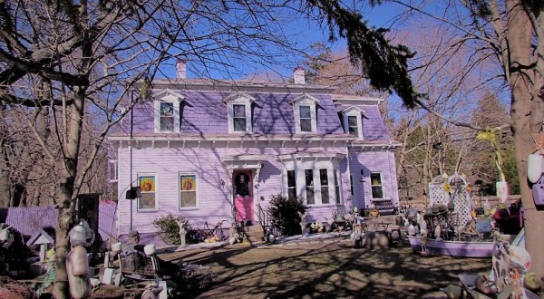 This Colorful Rhode Island House Is Actually A Little-Known Pig Sanctuary
