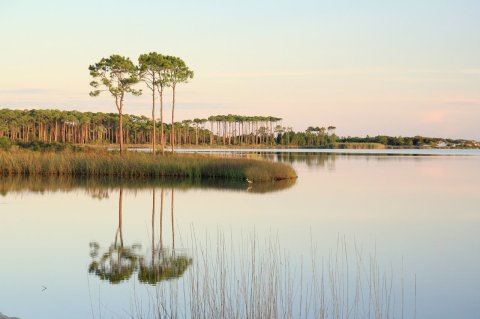 Plan Your Visit To The Coastal Dune Lakes Of This Stunning State Park In Florida