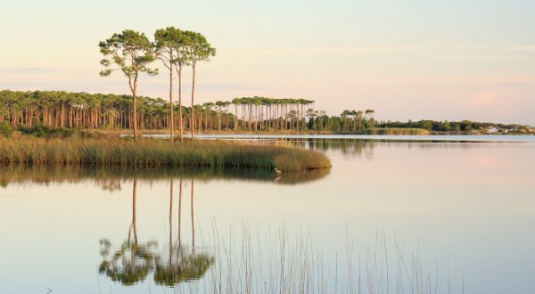 Plan Your Visit To The Coastal Dune Lakes Of This Stunning State Park In Florida