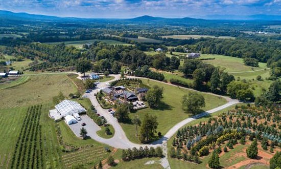 Spend A Perfect Day At This Gorgeous Garden Cafe Hiding In The Virginia Mountains