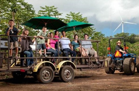 Take A Wagon Tour Through This Hawaii Farm For A Fun-Filled Day