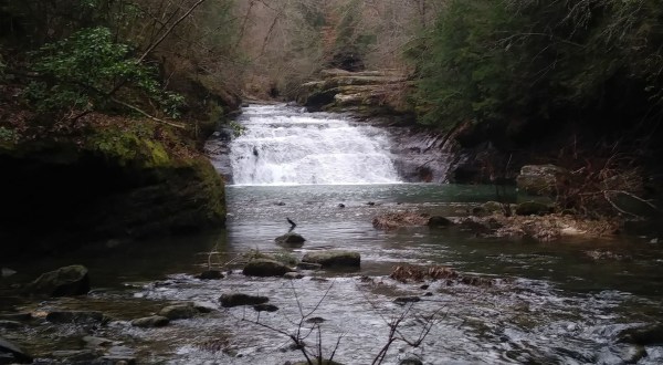 The Hike To This Little-Known Alabama Waterfall Is Short And Sweet