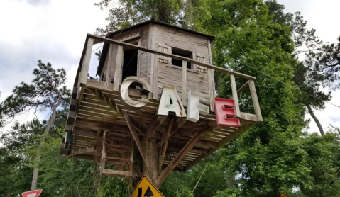 A Treehouse Restaurant In Texas, Family Tree Recipes Is Absolutely Whimsical