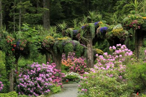 Alaska's Little Known Rainforest Garden Is Truly A Sight To See