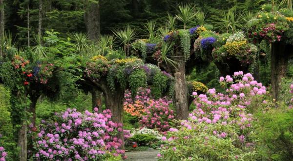 Alaska’s Little Known Rainforest Garden Is Truly A Sight To See