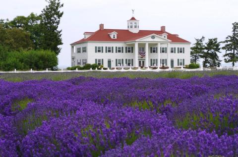 This Historic Washington Inn Sits On A Waterfront Lavender Farm