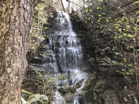 The Hike To This Little-Known Pennsylvania Waterfall Is Short And Sweet