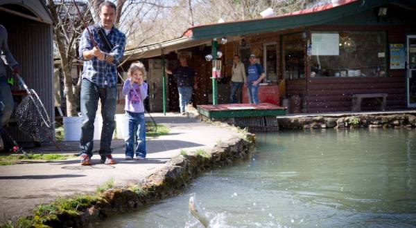The Hidden Trout Farm In Tennessee Where Everyone In The Family Will Have Endless Fun
