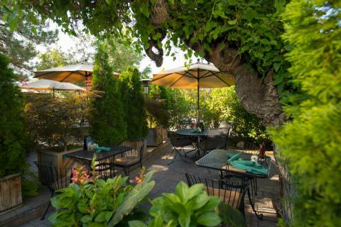 Dine In A Magical Outdoor Garden At This One Restaurant In Nevada