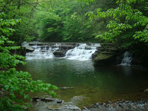 This Swimming Hole Campground In West Virginia Is A Perfect Summertime Oasis