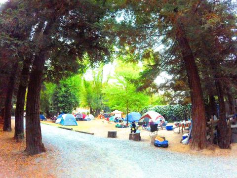This Dreamy Winery Campground In Northern California Will Take Your Summer To A Whole New Level
