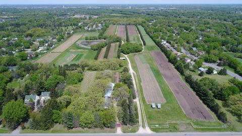 Take The Whole Family On A Day Trip To This Pick-Your-Own Strawberry Farm In Minnesota