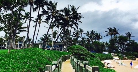 This Easy 3 Mile Coastal Boardwalk Trail In Hawaii Is A Little Slice Of Paradise