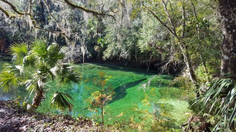 Florida's Most Refreshing Hike Will Lead You Straight To A Beautiful Swimming Hole