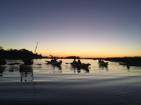 Take A Full Moon Kayak Tour To See South Carolina In A Whole Different Light