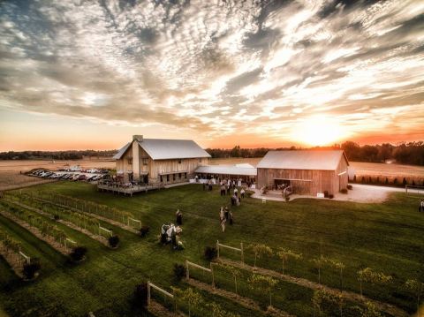 Visit The One Farm In Kentucky That's A Winery, A Restaurant, And An Incredible Overnight Destination