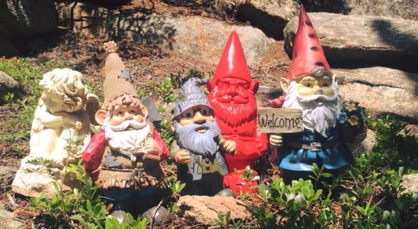 There’s A Fairy Gnome Wonderland Hiding In Colorado And It’s Simply Magical