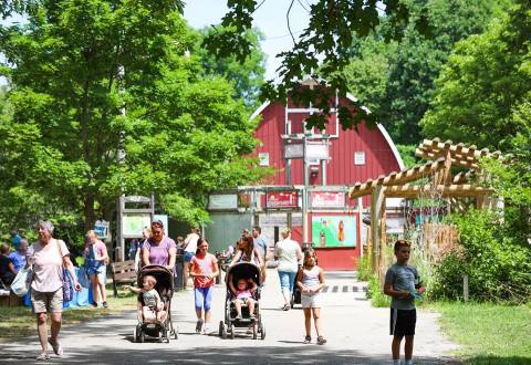 Visit With More Than 160 Species Of Animals At Michigan's Most Delightful Zoo