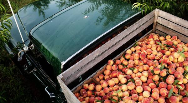 Celebrate Summer With A Visit to this Legendary Peach Truck in Nashville