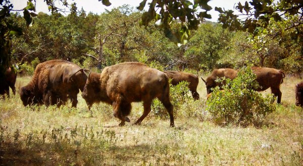 9 Incredible Places In Wisconsin Where You Can See Wildlife Up Close