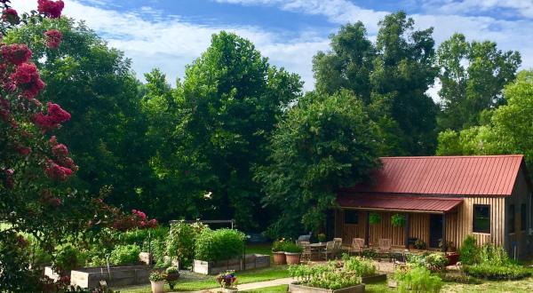 There’s A Bed And Breakfast On This Flower Farm In Georgia And You’ll Have The Most Enchanting Stay