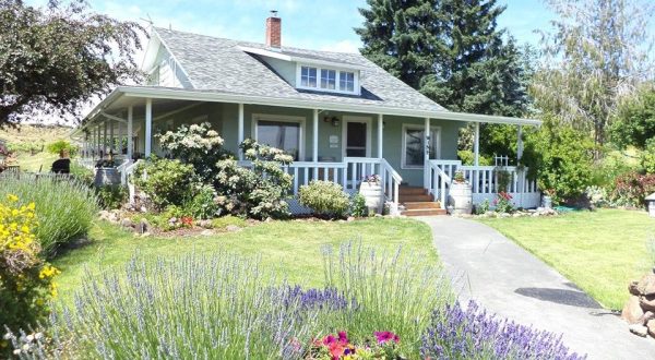 You Can Spend The Night In An Old Farmhouse At This Peaceful Washington Vineyard
