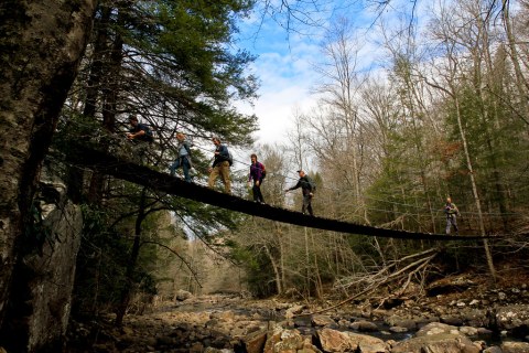 The Bridge Hike Near Nashville That Will Make Your Stomach Drop