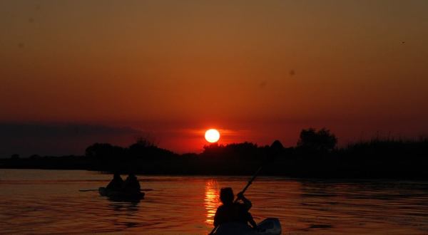 Take A Full Moon Kayak Tour To See Louisiana In A Whole Different Light