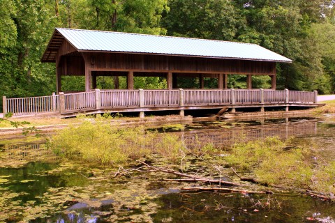 The One Covered Bridge Hike Near Nashville That Will Charm You Beyond Words