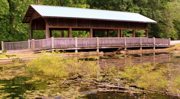 The One Covered Bridge Hike Near Nashville That Will Charm You Beyond Words