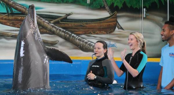 Play With Dolphins At This Mississippi Marine Park For An Absolutely Adorable Adventure