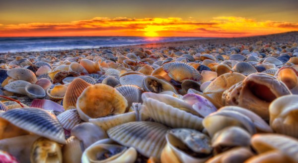 This Enchanting Stretch Of Peninsula In Florida Is A Sea Shell Lover’s Paradise
