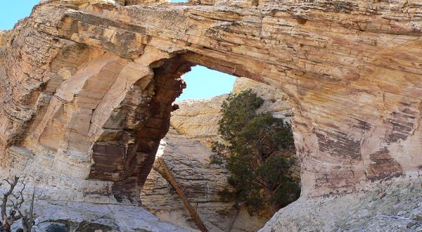 There’s A Little Known Unique Natural Bridge In Nevada And It’s Truly Amazing