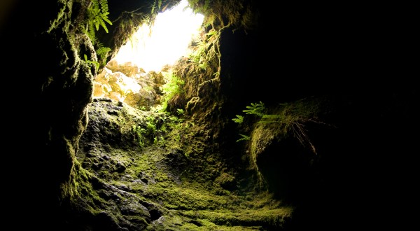 The Longest Lava Tube In The Country Is Right Here In Washington, And You Can Walk Through It