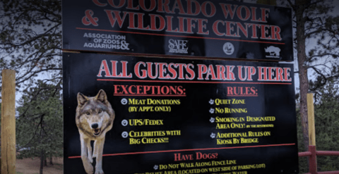 Not Many People Know About This Wolf Sanctuary Right Here In Colorado